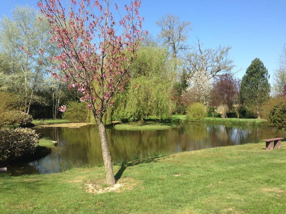 エペーニュ Domaine Du Bois L'Abbeヴィラ エクステリア 写真